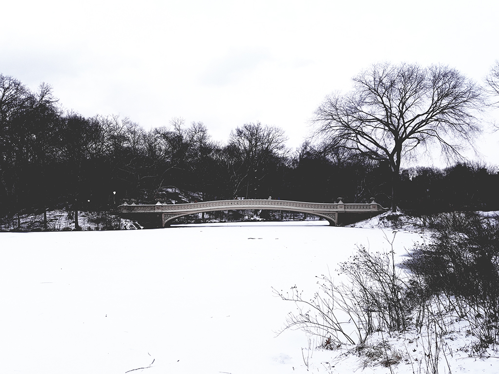 Bow Bridge sobre The Pond congelado. Febrero en Central Park - Foto de Andrea Hoare Madrid