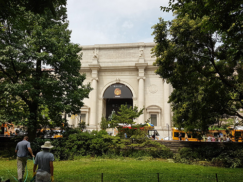 Museo Americano de Historia Natural