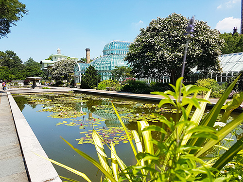 Jardín Botánico de Brooklyn