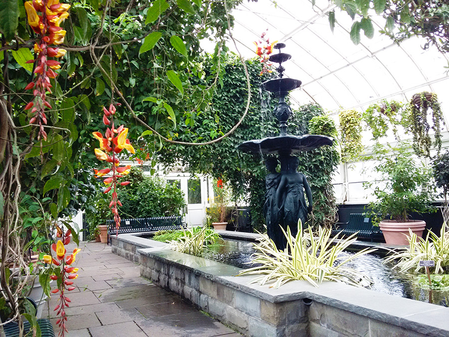 Detalle de orquídeas en uno de los invernaderos del Jardín botánico de Nueva York - Visita recomendada durante Nueva York en abril - Foto de Andrea Hoare Madrid