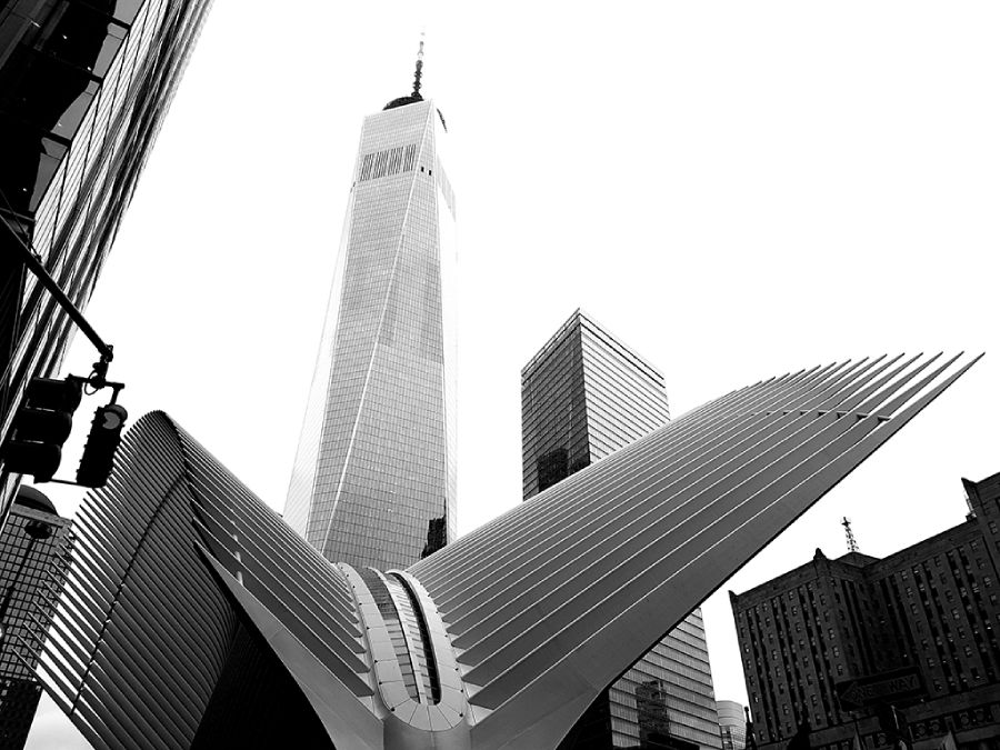 World Trade Center: Oculus y 1WTC - Foto de Andrea Hoare Madrid - Guía de los barrios de Nueva York, Manhattan