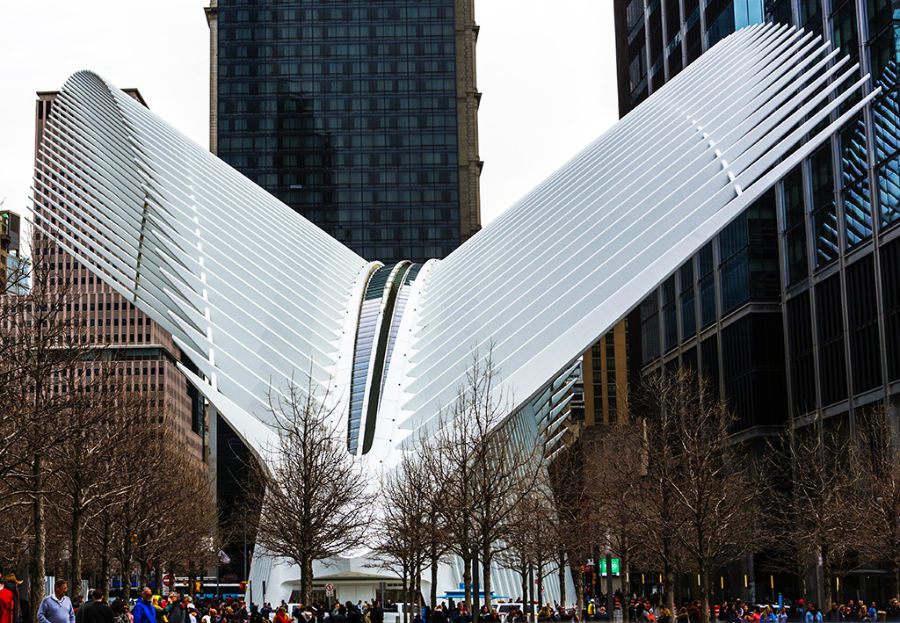 Vista general del Oculus diseñado por Santiago Calatrava, edificio del nuevo World Trade Center Transportation Hub. Foto cortesía de María Fernanda Pellejero @mafepellejero