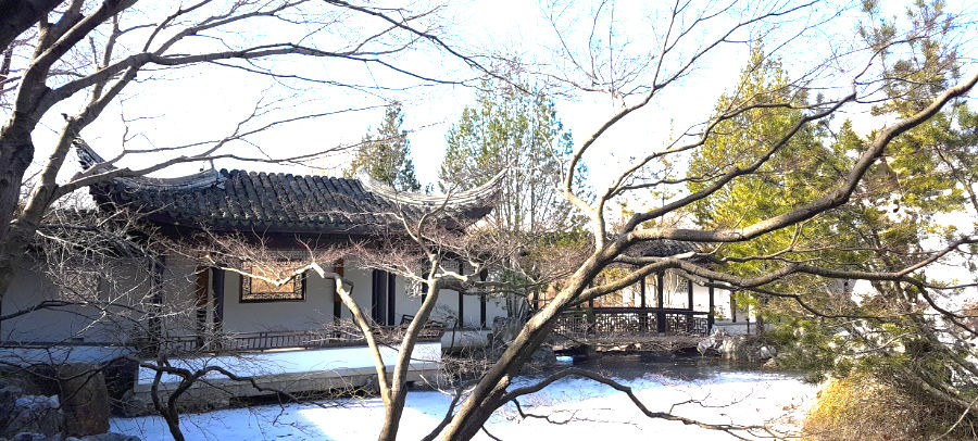 Vista panorámica de la laguna al interior de Chinese Scholars Garden congelada en invierno. Foto de Andrea Hoare Madrid