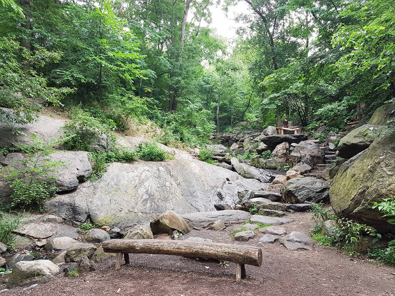 Senderos y bancas del Santuario de la Naturaleza Hallet en Central Park - Foto de AHM