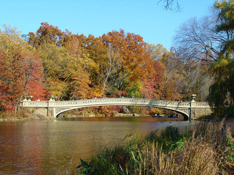 Bow Bridge de Central Park, Manhattan - Foto de Andrea Hoare Madrid