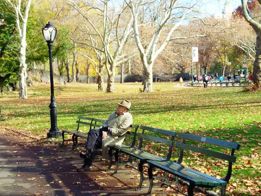 Elegante señor mayor tomando sol en otoño en una banca de Central Park - Foto de Andrea Hoare Madrid