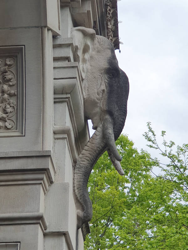 Detalle de la escultura de una cabeza de elefante que decora el Zoo Center, antes llamado Elephant House. Foto de Andrea Hoare Madrid