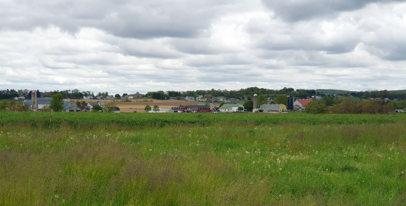 Panorámica campestre del Amish Country en los alrededores de Lancaster en Pensilvania - Foto de Andrea Hoare Madrid