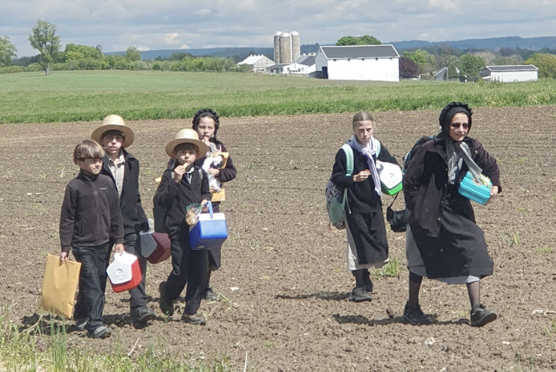 Mamá y niños de la comunidad Amish de Lancaster en Pensilvania, caminando por el campo a su casa al terminar el colegio. Foto de Andrea Hoare Madrid