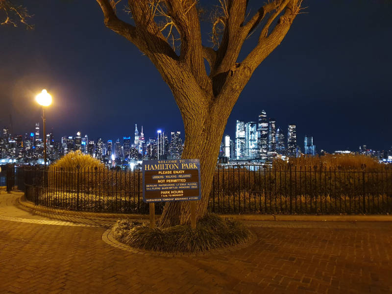 Skyline de Midtown Manhattan visto atrás de un árbol del Hamilton Park en Jersey City, New Jersey. Foto de Andrea Hoare Madrid