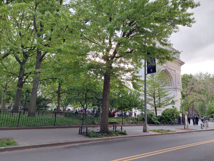 Árboles y Arco de Washington Square Park desde el otro lado de la calle. Foto de Andrea Hoare Madrid
