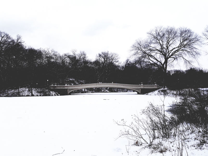 Bow Bridge sobre The Pond congelado. Febrero en Central Park - Qué hacer en Nueva York en enero. Foto de Andrea Hoare Madrid