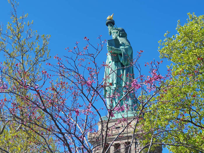 Nueva York en abril: es primavera en New York. En la foto se ve la parte trasera de la Estatua de la Libertad a través de un Cerezo en Flor florecido - Foto de Andrea Hoare Madrid