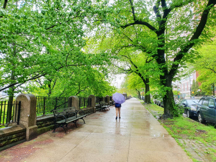 Persona caminando bajo un paraguas junto al parque Morningside Park en el barrio homónimo. Lluvias de abril durante la primavera en New York - Foto de Andrea Hoare Madrid
